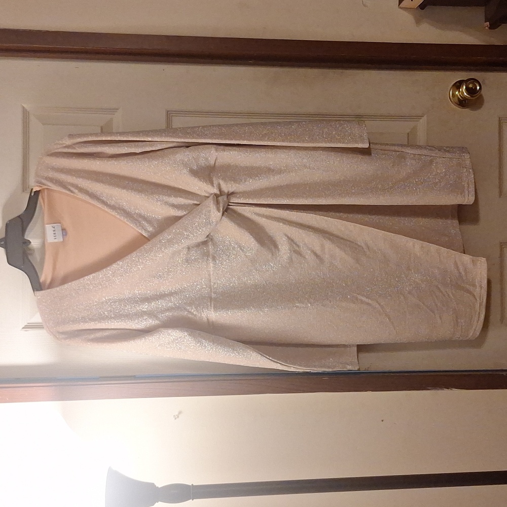 The aldi gold dress
